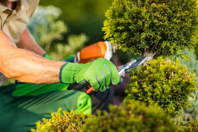 Contact About Shrub Pruning