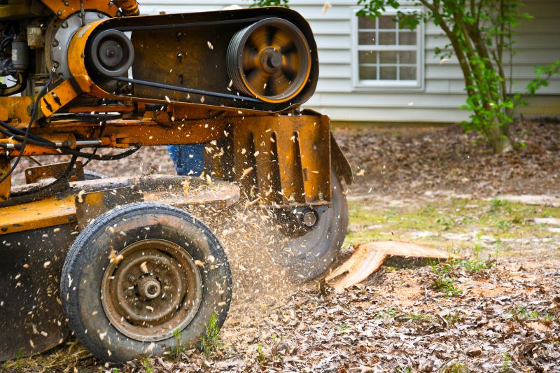 Stump Grinding Service in Calvert County, MD