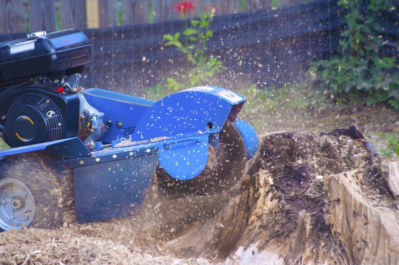 Bush Stump Grinding in Calvert County, MD