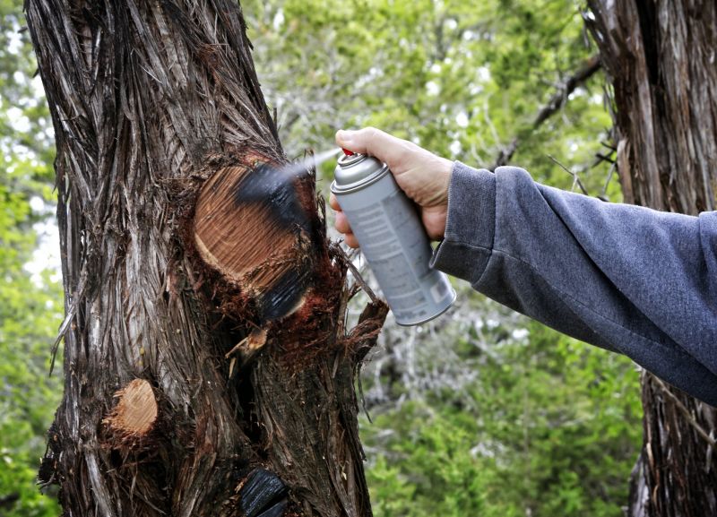 Cedar Tree Trimming in Reno, NV