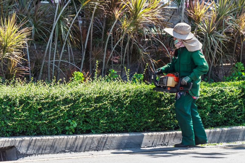 Commercial Shrub Trimming in Rockwall, TX