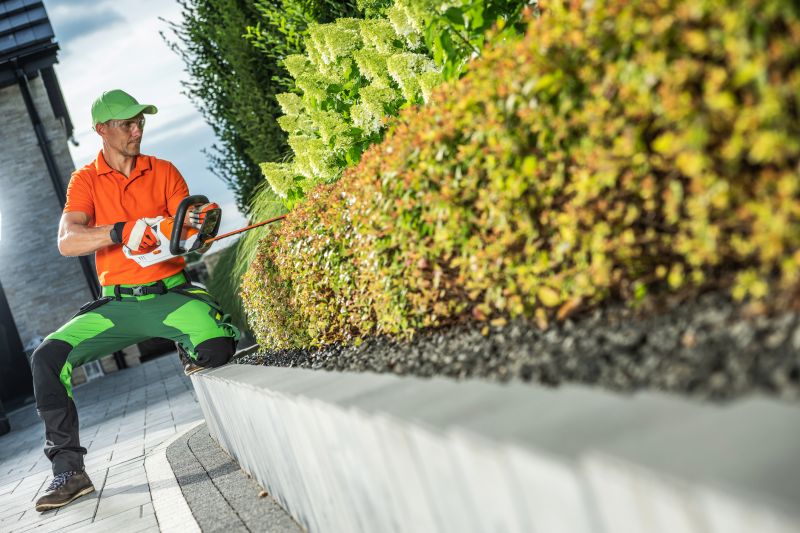 Commercial Shrub Trimming in Aiken, SC