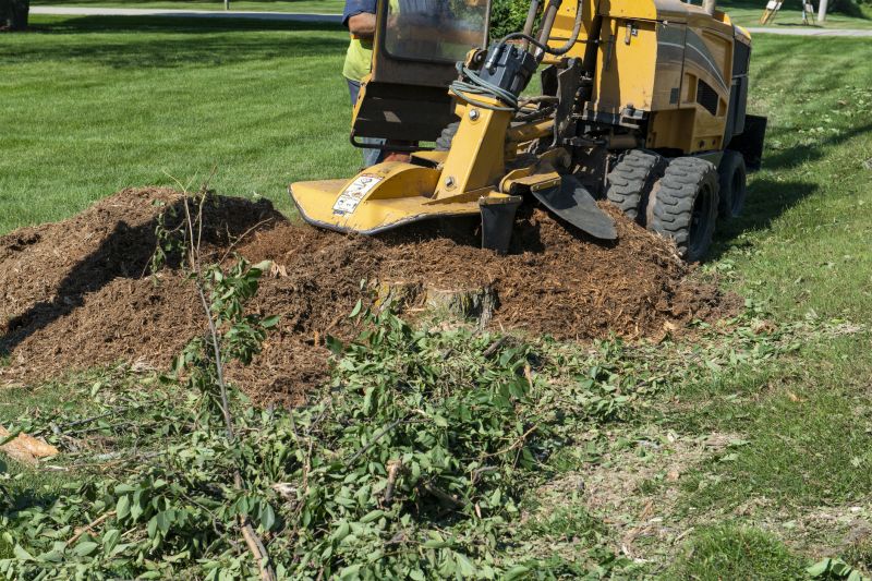 Commercial Stump Grinding in Allentown, PA