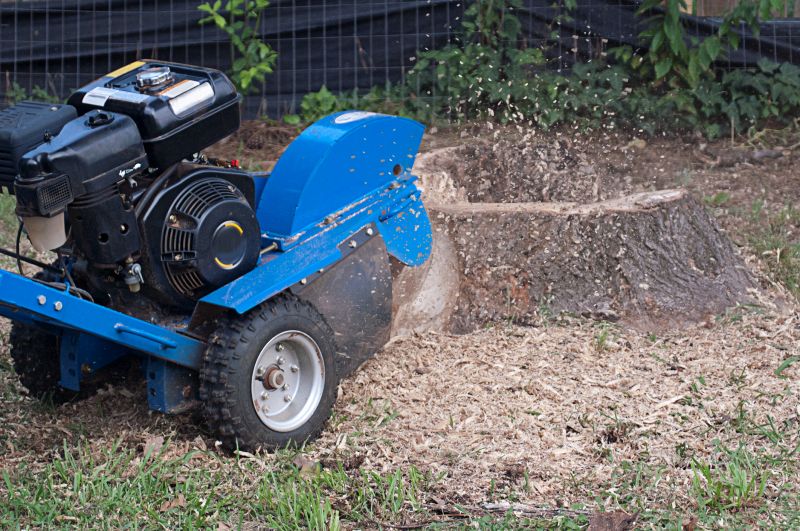 Commercial Stump Grinding in Doylestown, PA