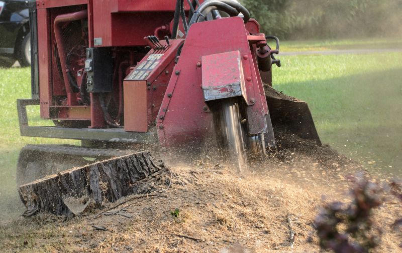 Commercial Stump Grinding in Pottstown, PA