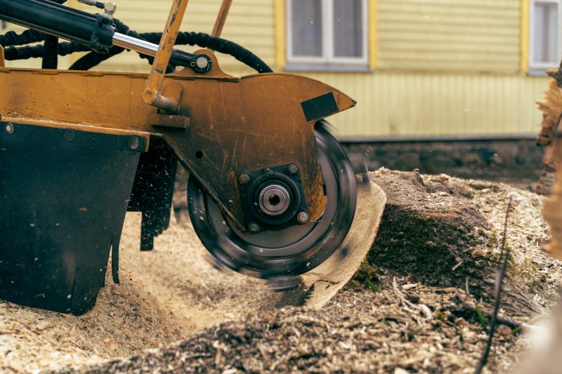Commercial Stump Grinding in Pottstown, PA