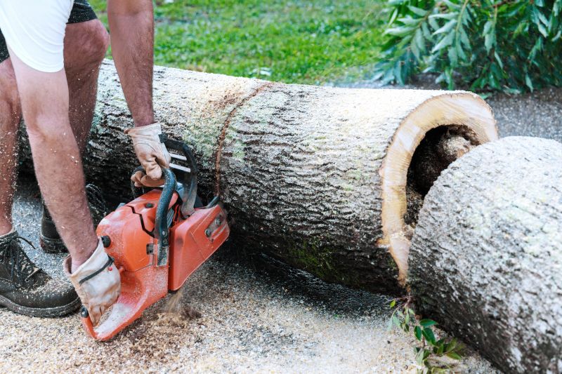 Commercial Tree Removal in San Jose, CA