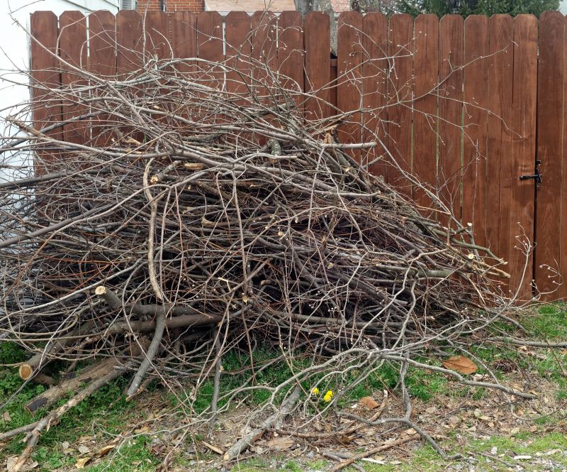 Dead Branch Removal in Pottstown, PA
