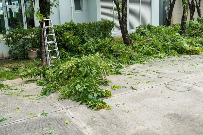 Dead Tree Removal in Doylestown, PA