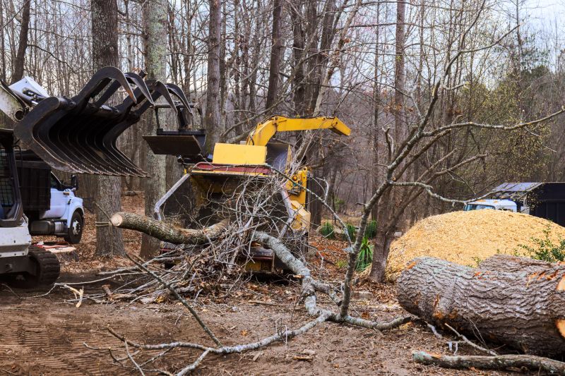 Dogwood Tree Removal in San Jose, CA
