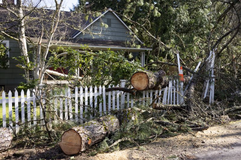 Dogwood Tree Removal in Pottstown, PA