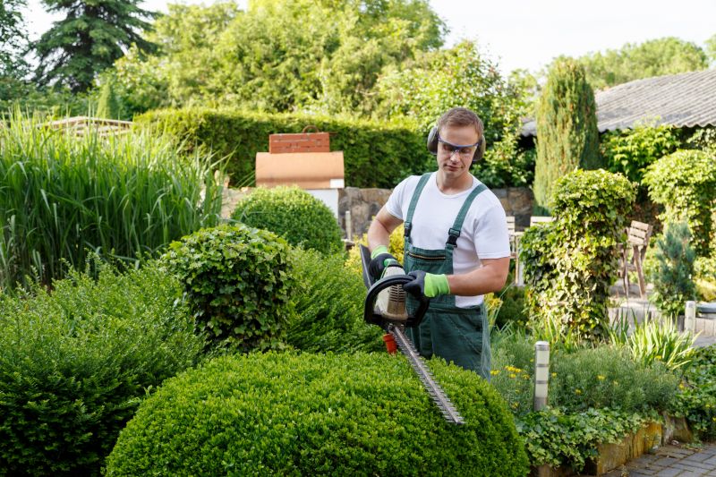 Evergreen Hedge Trimming in Ventura County, CA
