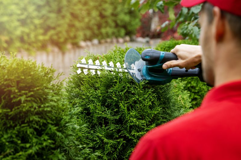 Evergreen Hedge Trimming in Aiken, SC