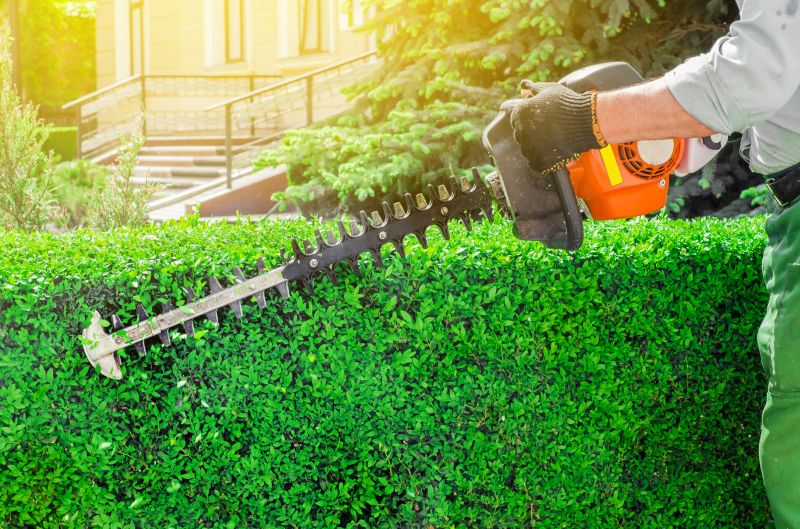 Hedge Shaping Service in Aiken, SC