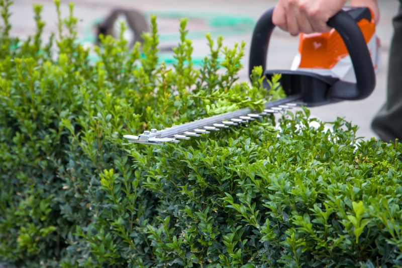 Hedge Trimming in Rockwall, TX