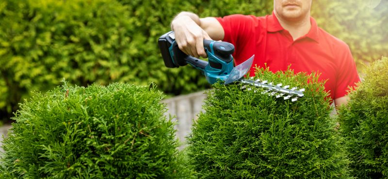 Hedge Trimming in Rockwall, TX