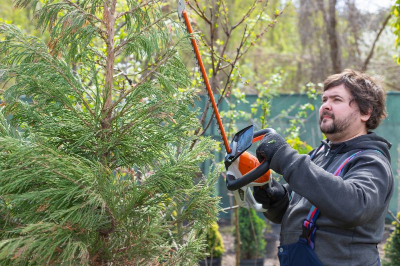 Juniper Pruning in Ventura County, CA