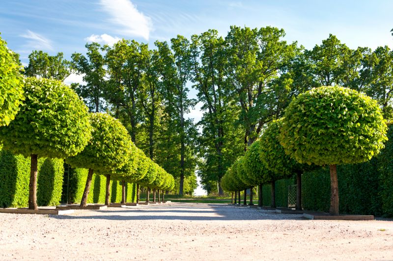 Landscape Pruning Service in Aiken, SC
