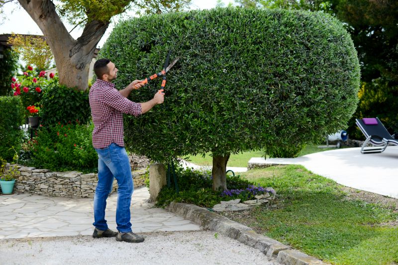 Landscape Trimming Service in Ventura County, CA