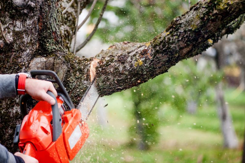 Limb Pruning in Pottstown, PA