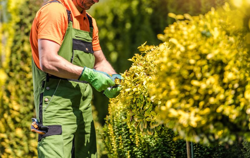 Shrub Pruning in Rockwall, TX