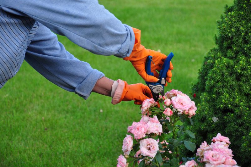 Shrub Pruning in Aiken, SC