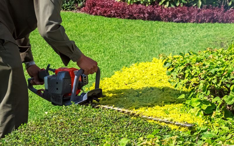 Shrub Trimming in Rockwall, TX