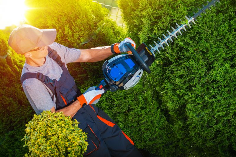 Shrub Trimming in Ventura County, CA