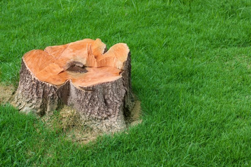 Stump Cutting in Calvert County, MD