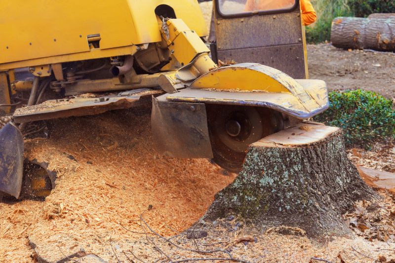 Stump Grinding Service in Calvert County, MD