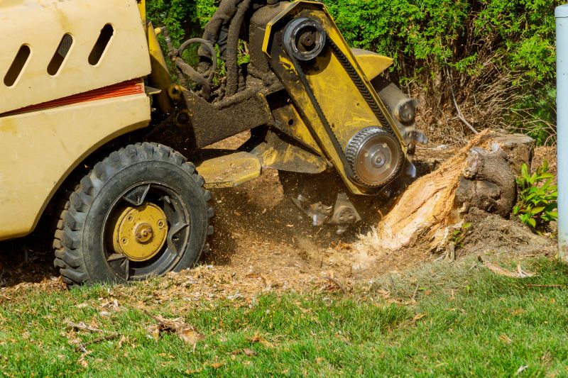 Tree Root Grinding in Calvert County, MD
