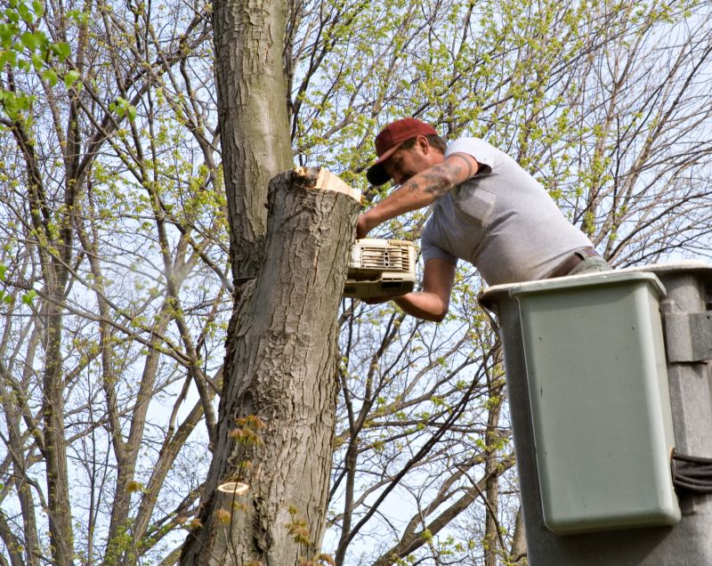Tree Service in Allentown, PA