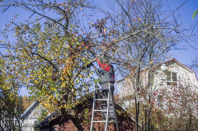 Tree Service in Doylestown, PA