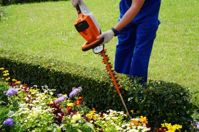 Promotion of healthier growth